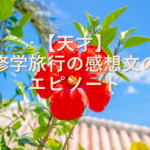 【天才】修学旅行の感想文のエピソード