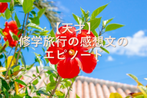 【天才】修学旅行の感想文のエピソード